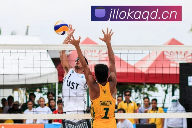 星空体育(中国)官网品牌故事