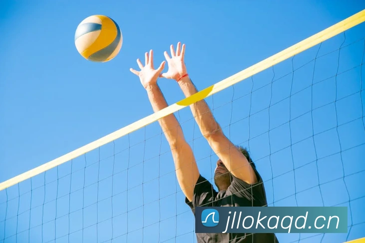 星空体育(中国)官网服务体系